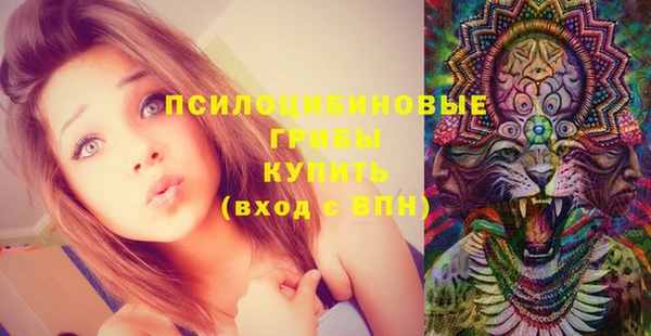 соль курить ск Алзамай