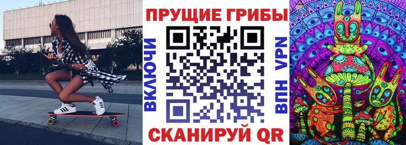KRAKEN ТОР  продажа наркотиков  Тетюши  Галлюциногенные грибы прущие грибы 